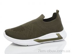 GFB-Канарейка X8022-4 фото