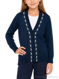 Obuvok TD-09 (99674) navy фото