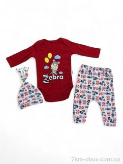 Kids-modnik 1360 червоний боді трійка фото