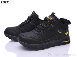 FDEK R9355-6 фото