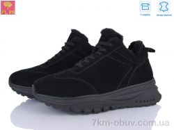 PLPS S651-2 фото