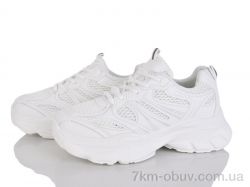 Loretta K511-1 фото