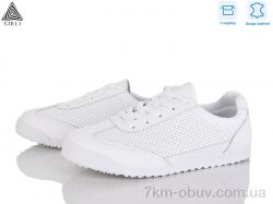 STILLI Group ZH70-1 шкіра фото