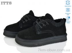 ITTS 5261-1 фото