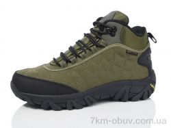 Boteli M350-4 фото