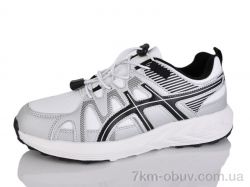 Moli B8023-5 фото