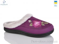 Acorus T01 фіолетовий фото