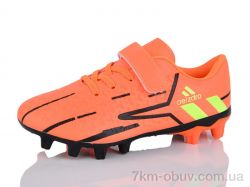 ASHIGULI C09-5 фото