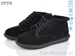 ITTS DX12-1 фото