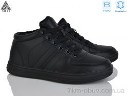 STILLI Group L50-1 шкіра фото