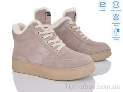 Мир 4256-V263-C фото