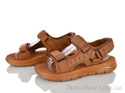 Захар-Gold 07522 піна фото