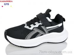 GFB-Канарейка R345-1 фото