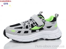 GFB-Канарейка X8095-2 фото