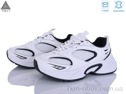 STILLI Group T50-5 шкіра фото