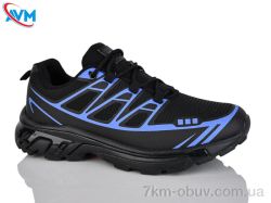 AVM A1133-11 фото