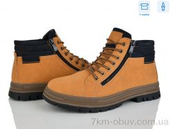 Мир 4269-XM9071-1G фото