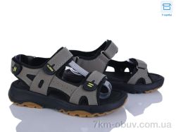 Clibee-ShoSho AD708-5 фото