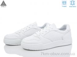 STILLI Group AD410 шкіра фото