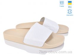 A.Dama MV12-7 (43p) фото