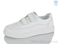 Lilin 705-6 фото