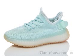 Alimama-Girnaive CRT01-8 фото