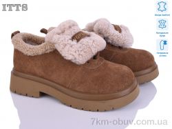 ITTS 1236-45 фото