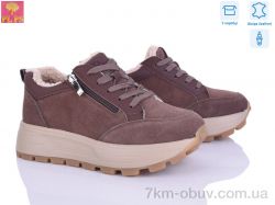 PLPS YJ681-3 фото