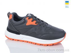 Swin 1806-3 фото