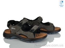 KIMBOO T61-4L фото