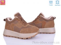 PLPS YJ686-2 фото