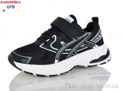 GFB-Канарейка R377-7 фото