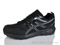 Moli A8020-3 фото