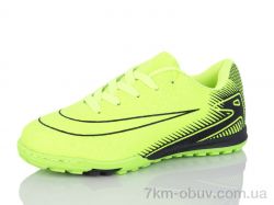 ASHIGULI 253-V фото