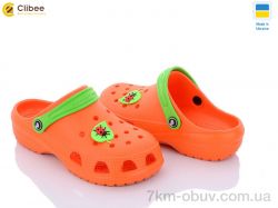 Clibee 116810 фото