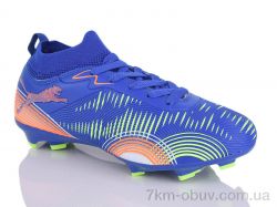 ASHIGULI 508Z фото