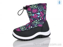 M&L  Alex13 525-1 фото