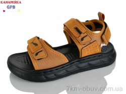 GFB-Канарейка R86-4 фото