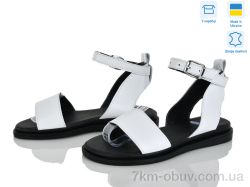 Ailinda 305-81A фото