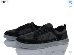 PTPT Y570-16 фото