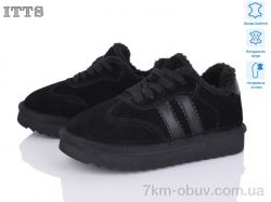 ITTS 7742-1 фото