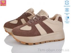 PLPS YJ683-4 фото