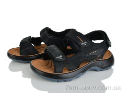 KIMBOO T64-3A фото