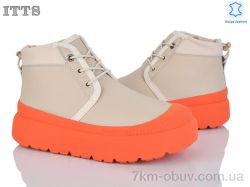 ITTS KT95 beige фото