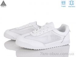 STILLI Group ZH80-1 шкіра фото