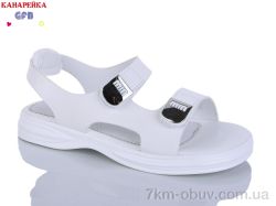 GFB-Канарейка R830-1 фото