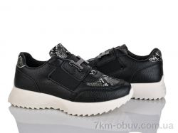 Loretta K016 фото