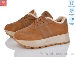 PLPS YJ685-2 фото