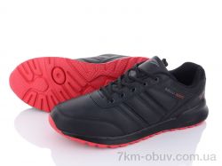 BIG S3119-3 фото