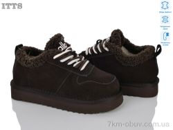 ITTS T6680-3 фото